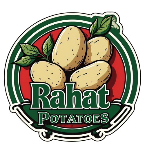 Untitled design (53)