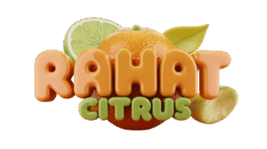 WhatsApp_Image_2025-10-04_at_7.24.01_PM-removebg-preview