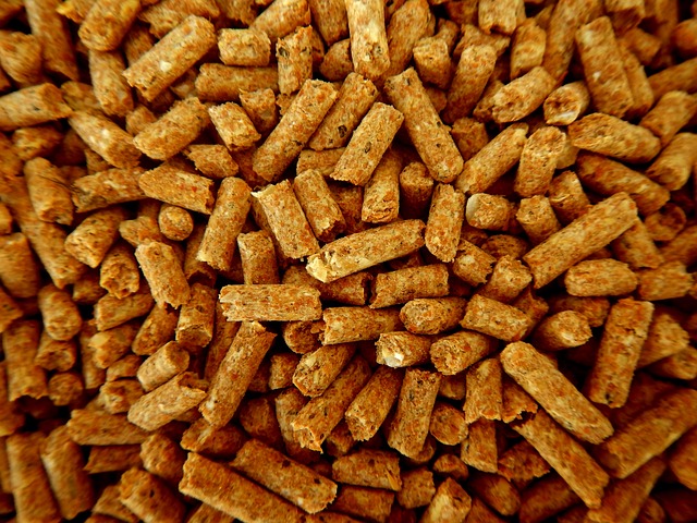 Animal Feed